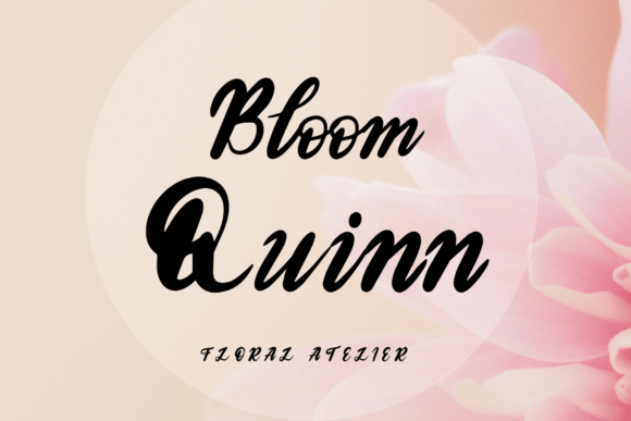 Bloom Quinn Review