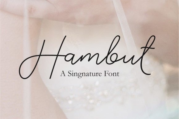 Hambut: A Script Amp for Real-World Design