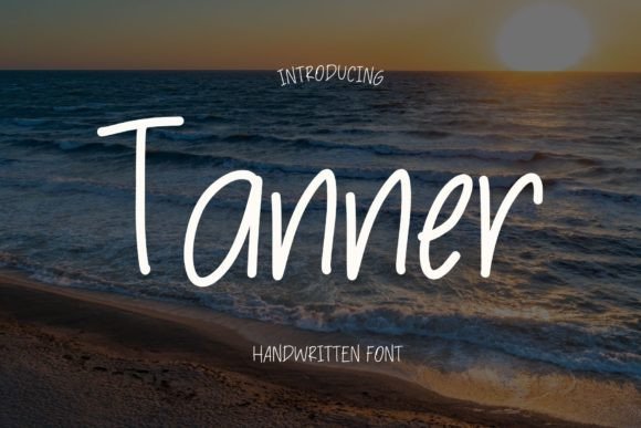 Tanner: A Script Amp for Real Projects